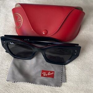 Ray-Ban Black Sunglasses with Red Case and Gray Cloth